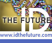IDTF webad 2.jpg