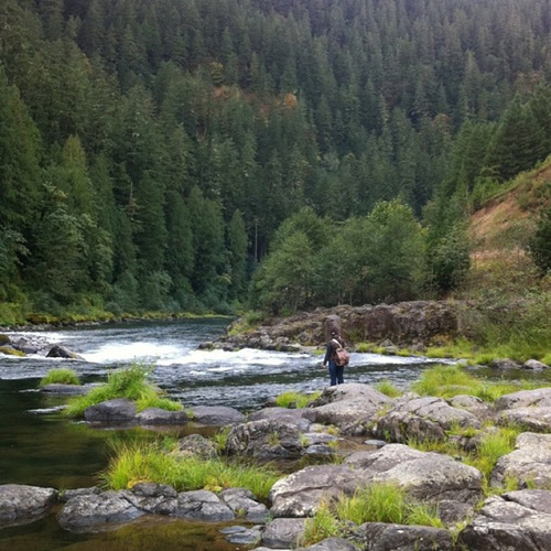 Gone fly fishin'. Oregon is so beautiful. Happy to live here.