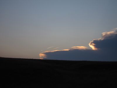 IMG_3766