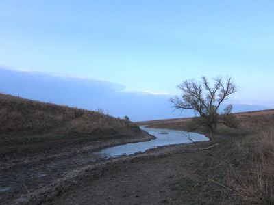 IMG_3767