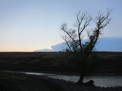 IMG_3771