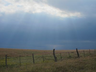 IMG_3889