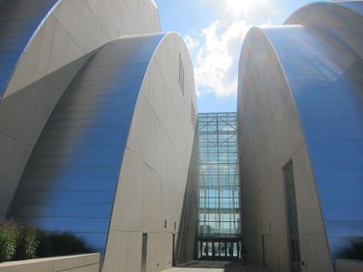 IMG_3980