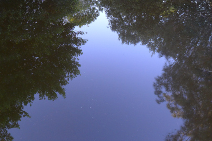 Reflections, Bundeena 2011. Photo by Ace Bourke.