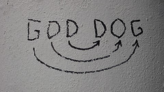 P1050174