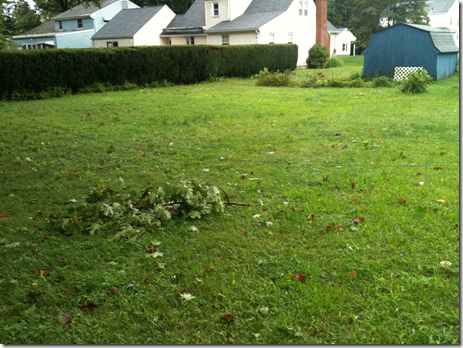 Hurricane Irene