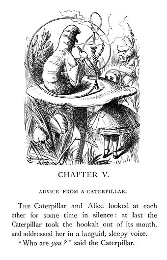 caterpillar.jpg