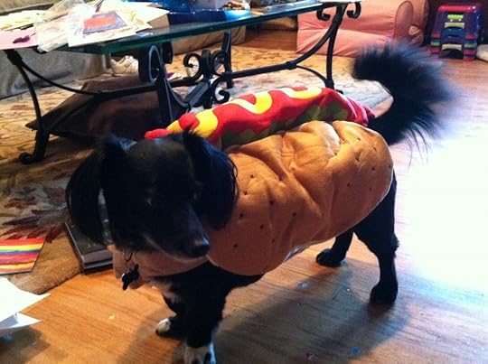 Riley Hot Dog