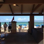 We ate lunch in my pool bar. So amazing to see the daytime activity, as opposed to just the evenings and before work.