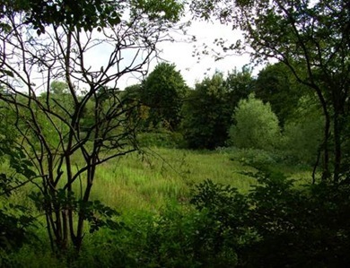 clip_image002