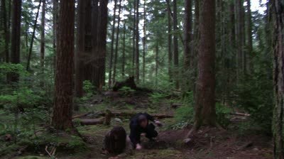 MOV039