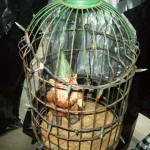 377511_303344963011636_100000084038321_1284284_85912843_n