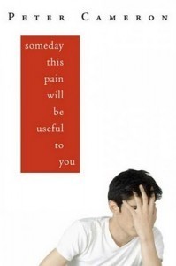 'Someday This Pain Will Be Useful to You' by Peter Cameron
