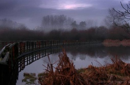 clip_image002