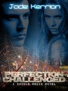perfection-challenged-600x800