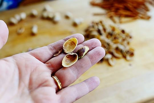 Halloween Graham Cracker Bark