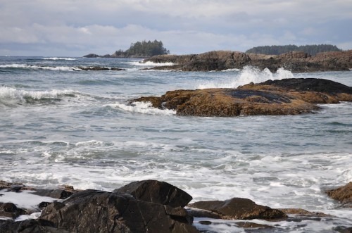 DSC_0664