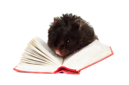 iStock_000022437046XSmall