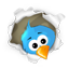 Twitter