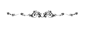 AboutUsSeperator