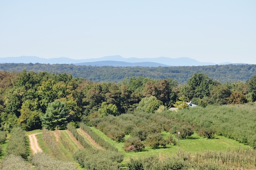 apple landscape