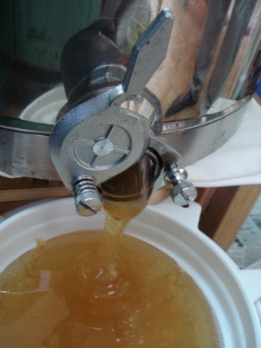 Extraction6