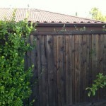 fence