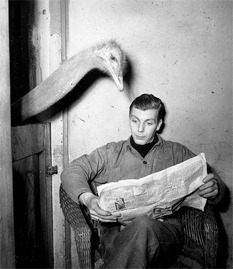orlean-newspaper.jpg