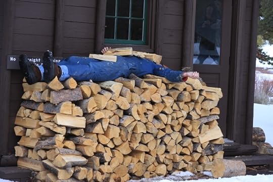 Resting in Yellowstone, 2010