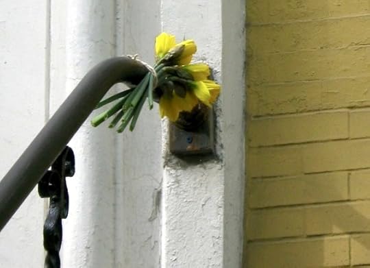 Daffodils on 11th Street, New York City