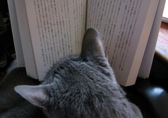 Unbelievable, Japanese Edition