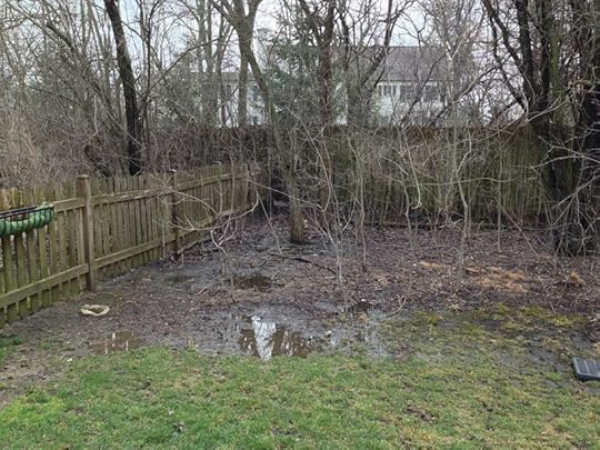 Swampsylvania (2)