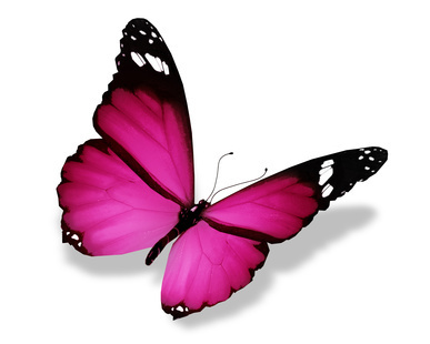  photo Fotolia_PinkButterfly_zps09968dd1.jpg
