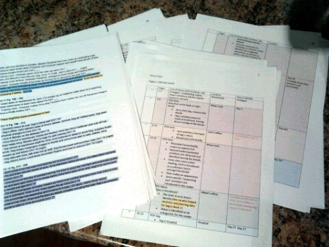 Warpworld manuscript outlines Wasteland Renegades
