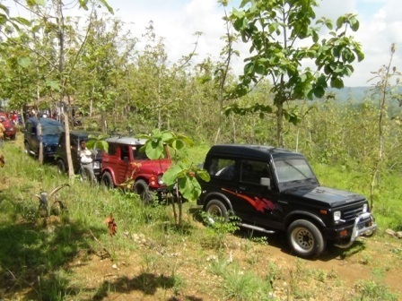 hutan gunungkidul