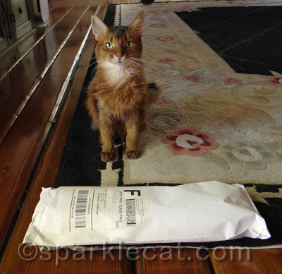 This package is as long as I am!