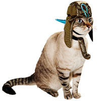 Petco Halloween Pharoah Cat Costume, One Size Fits All ()