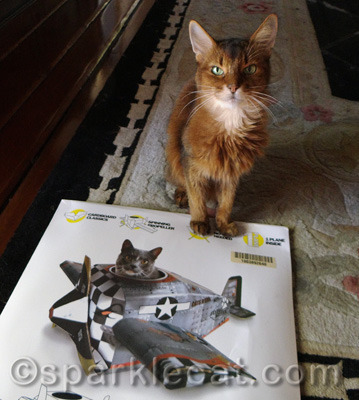 I'm giving my human the benefit of the doubt