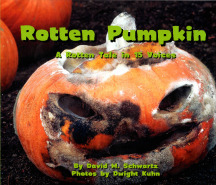 pumpkin-cover