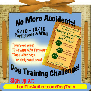 dog train
