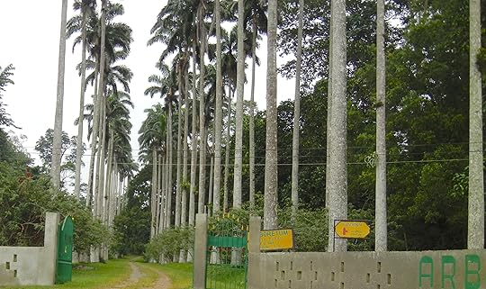 ARBORETUM ON THE ACCRA-KUMASI ROUTE