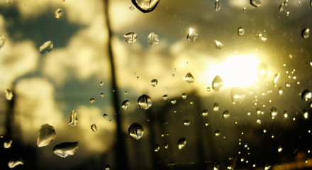 rain-drops-window