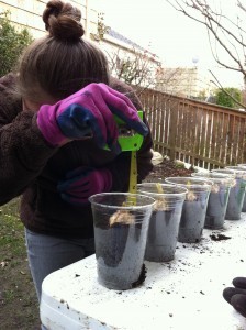 IMG 0183 224x300 Ecology