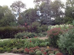 Garden02