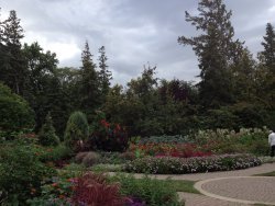 Garden03