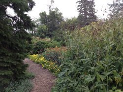 Garden04
