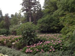 Garden05