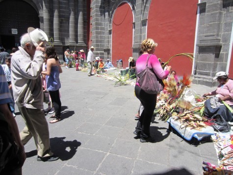 Getcher palm doodads here!