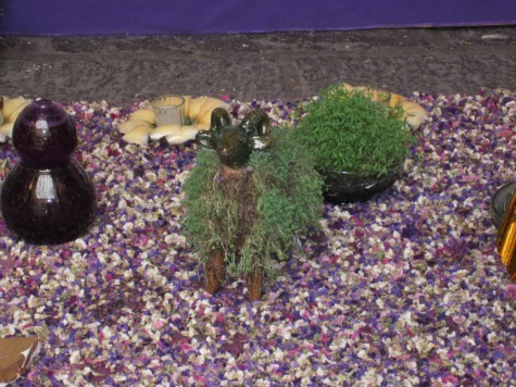 This time I did the zooming for you. Check it!