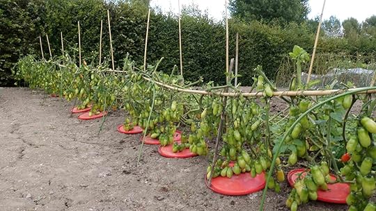 The same row, after pruning.